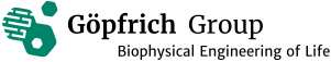 Göpfrich Group - Biophysical Engineering of Life logo